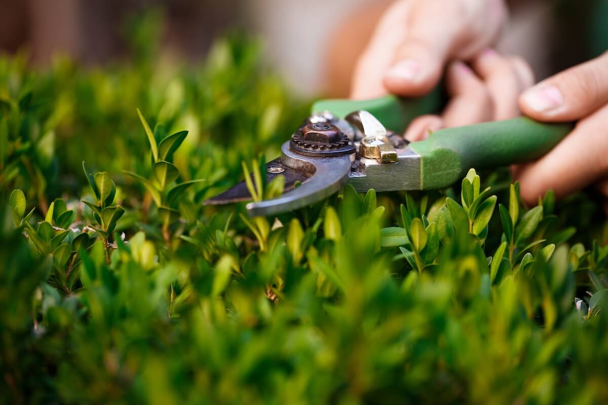 Amenagement de jardin